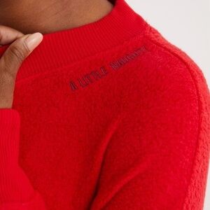 Aerie “A Little Naughty” Holiday Crew Neck - Size Small (oversized)